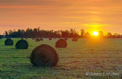 Bales At Sunrise_11397-9.jpg - Photographed near Smiths Falls, Ontario, Canada.